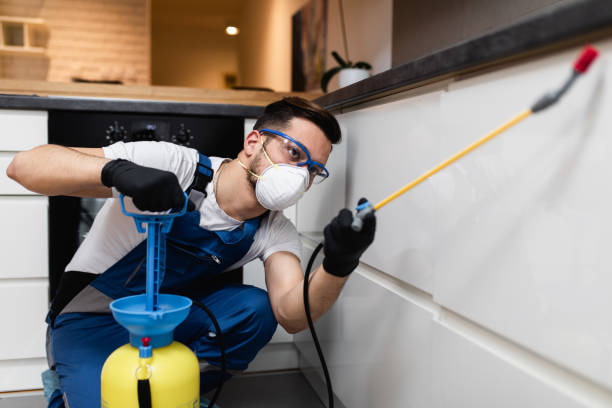 Best Mosquito Control Services  in Northbrook, IL