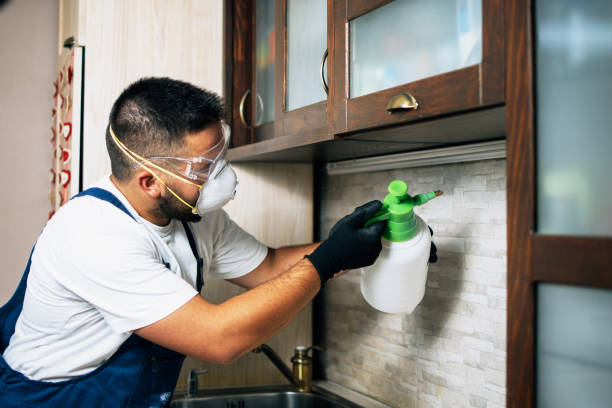 Best Flea Control Services  in Northbrook, IL