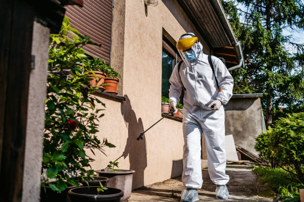 Trusted Northbrook, IL Pest Control Experts