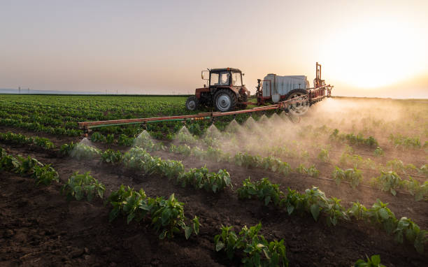 Best Commercial Pest Control Services  in Northbrook, IL