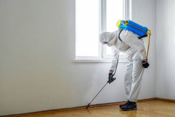 Best Local Pest Control Services  in Northbrook, IL