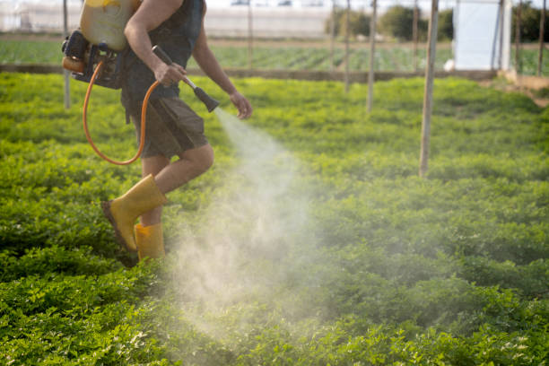 Best Affordable Pest Control Services  in Northbrook, IL