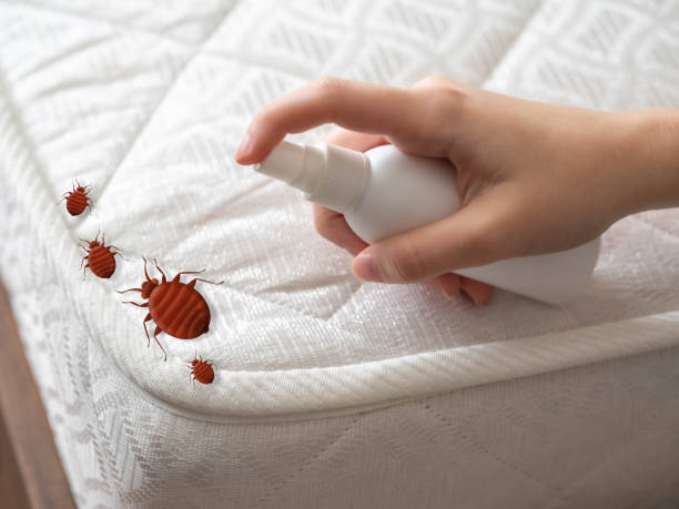 Best Best Pest Control Companies  in Northbrook, IL